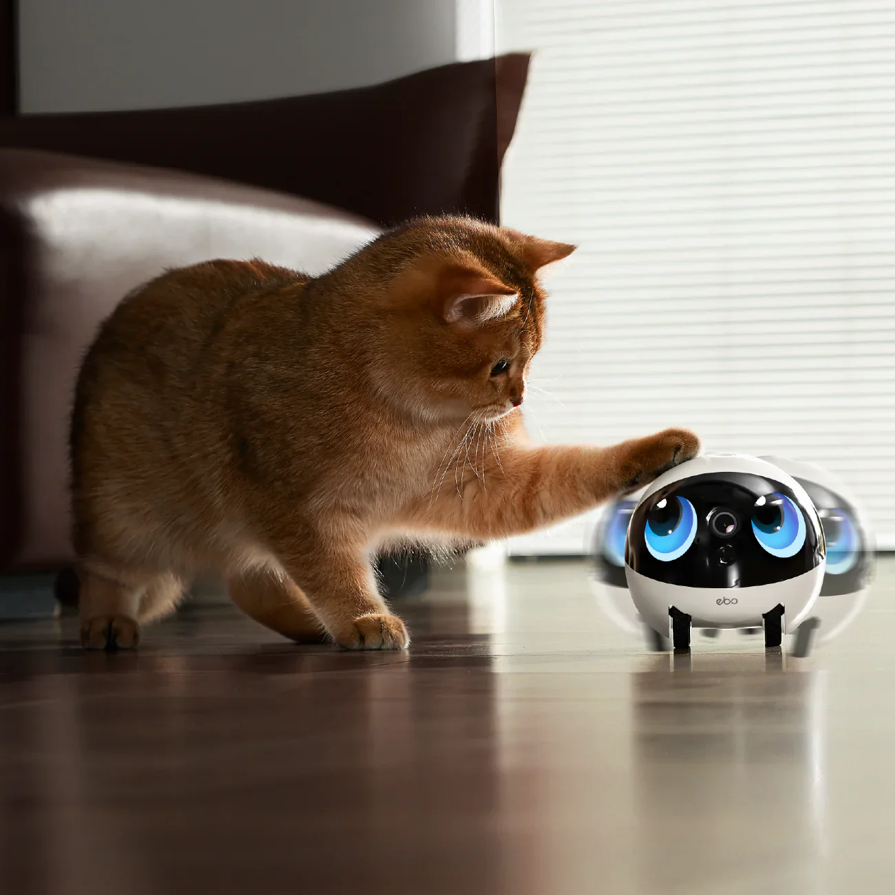 Enabot EBO Air 2S FamilyBot - Image 6