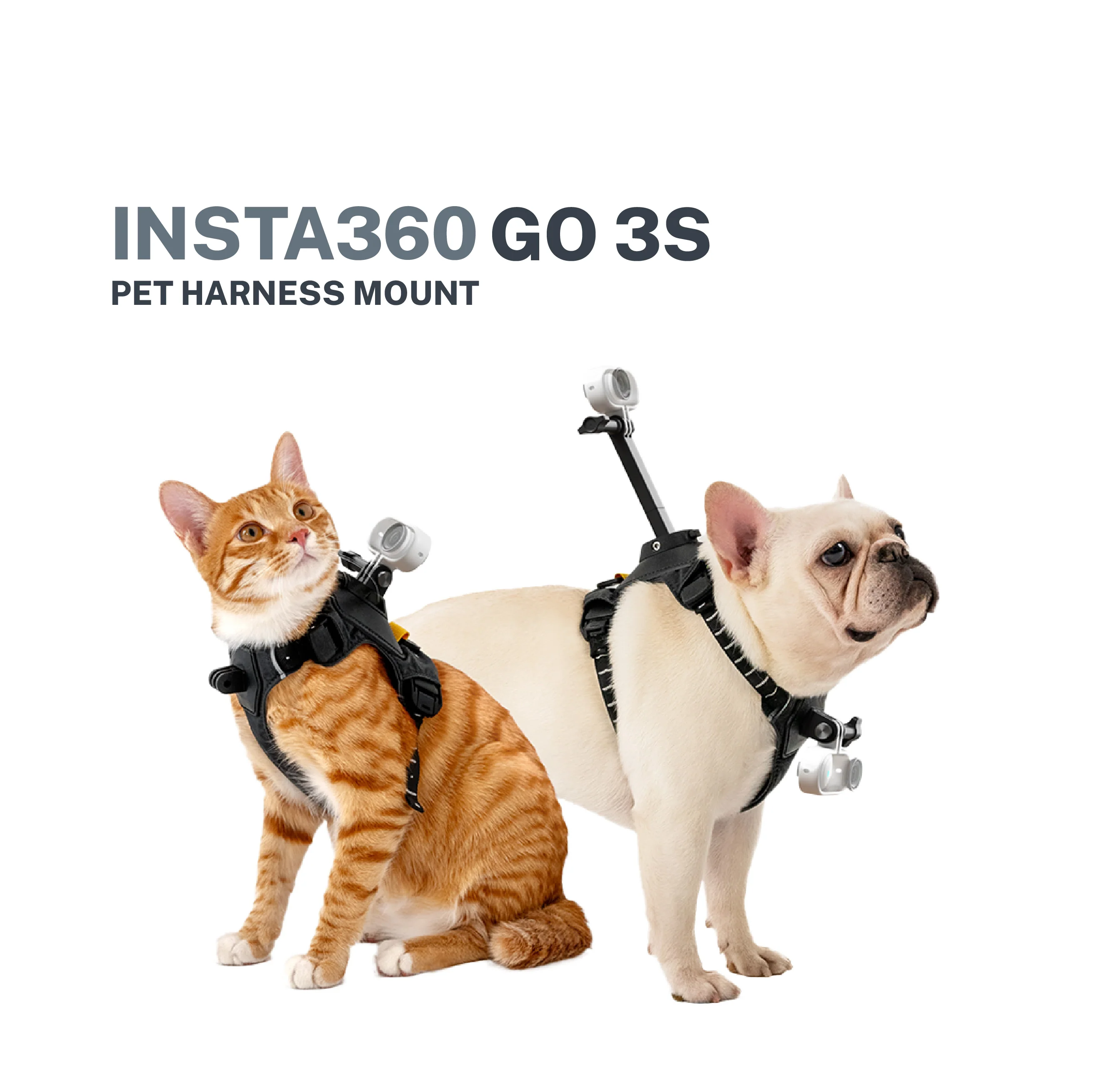 Insta360 GO 3/ GO 3S Pet Harness Mount - Image 6