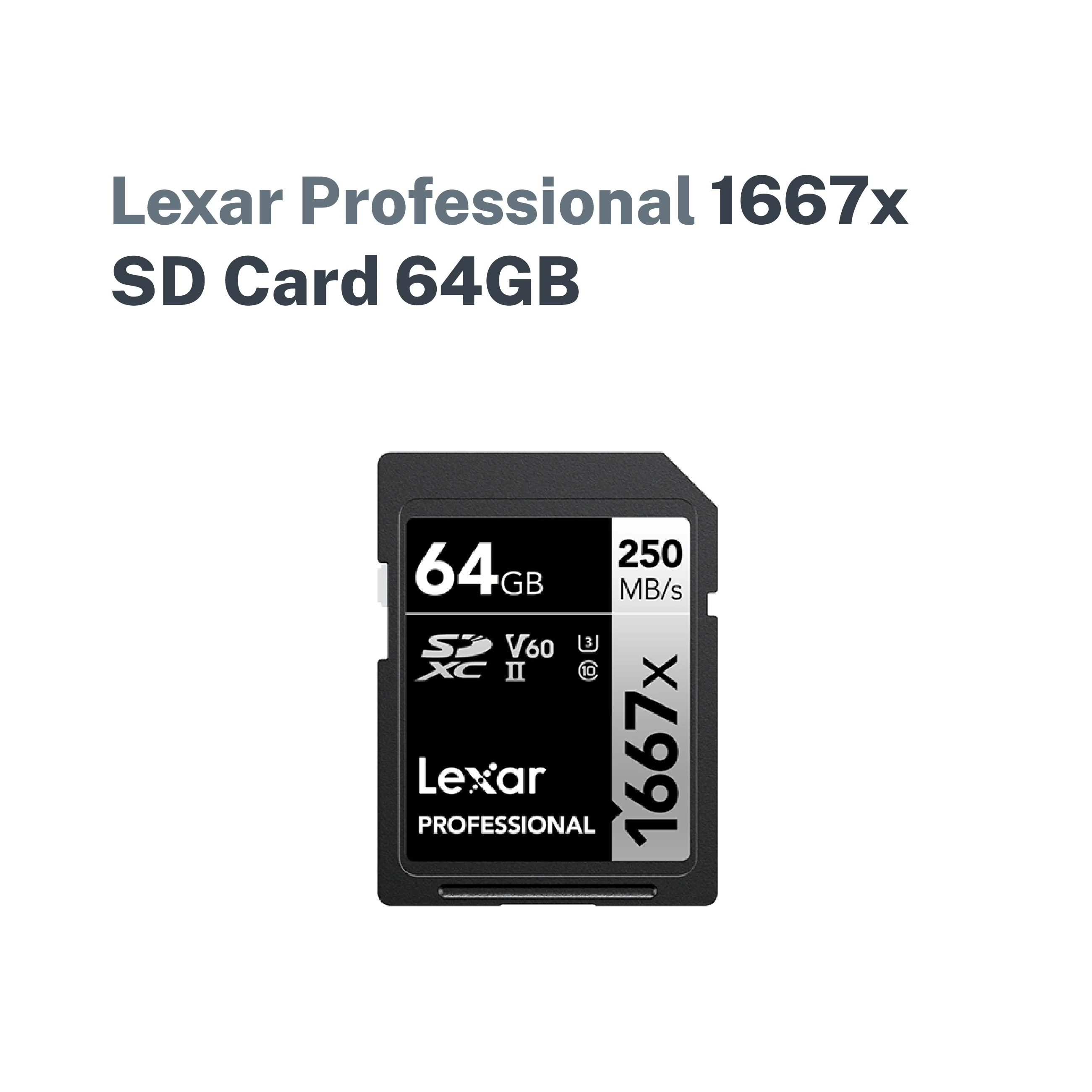 Lexar Professional 1667x SD Card - Image 2