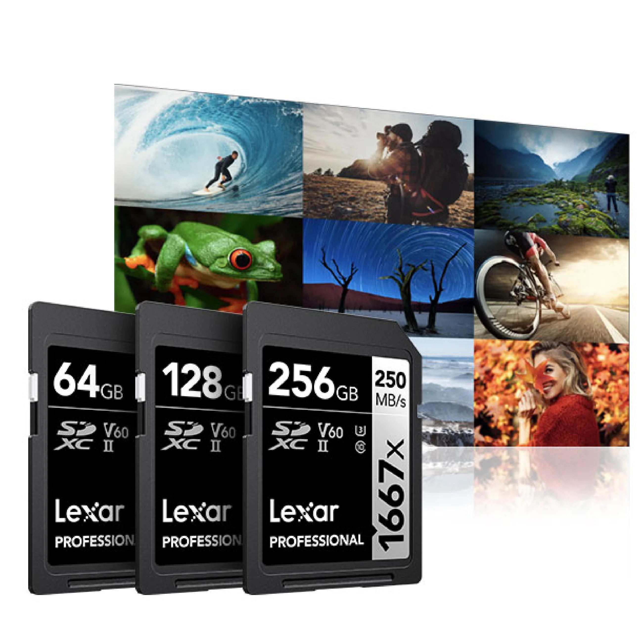 Lexar Professional 1667x SD Card - Image 6