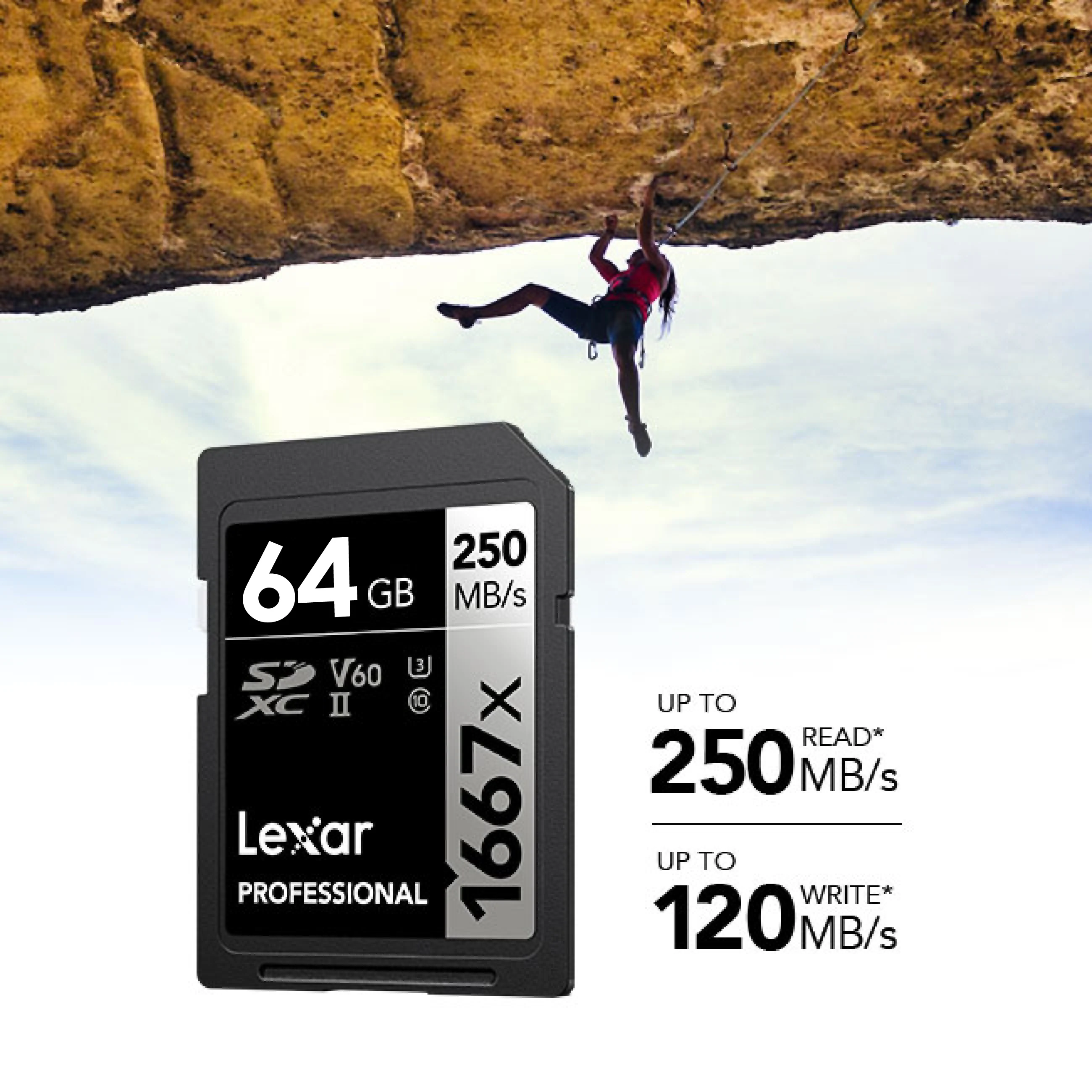 Lexar Professional 1667x SD Card - Image 8